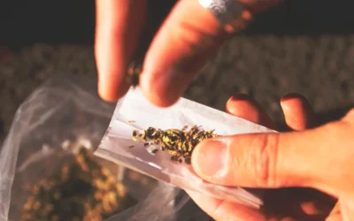 Εφηβεία και χρήση