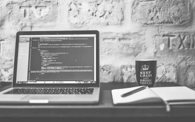 Το Αφεντικό Τρελάθηκε: Οδηγίες για να μην τρελάνει και εσάς