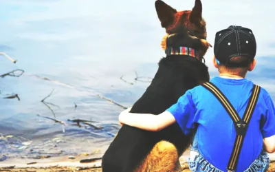 Οι φίλοι μας τα ζώα